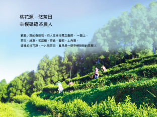 井古茶園