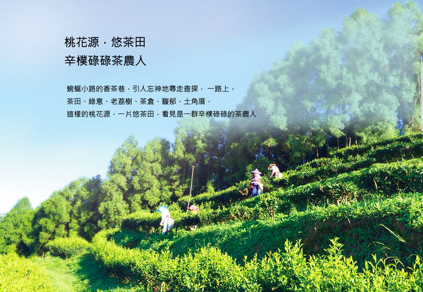 品牌茶席活動及教學